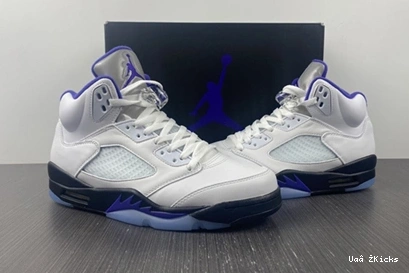 DD0587-141 Fashionable CONCORD Air Jordan5 587 0730